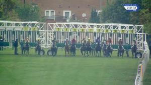 Video preview image for Leicester 14:30 - Whissendine Selling Stakes (5)