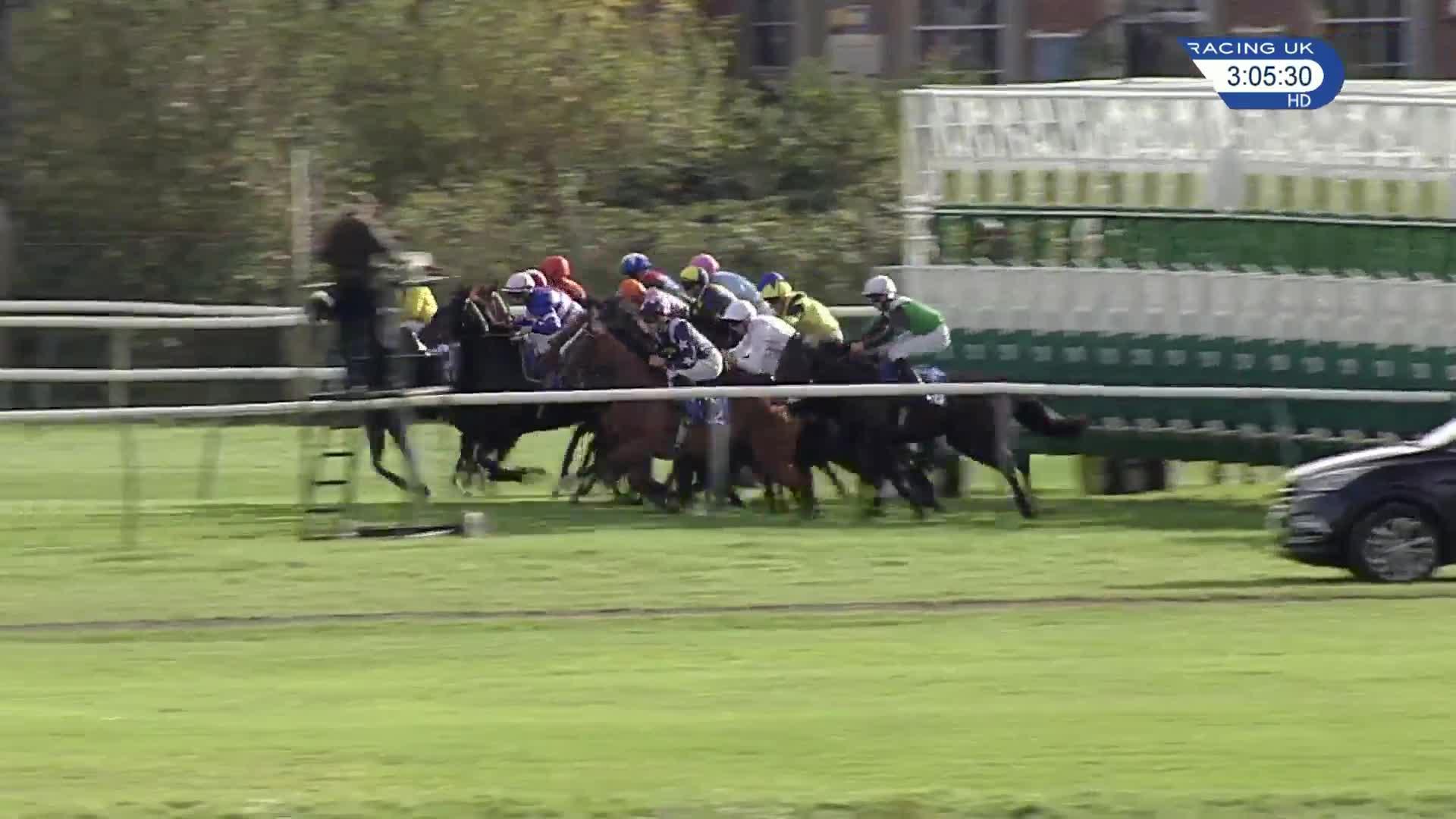 Racing TV presenters and pundits pick their horses to follow for the