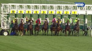 Video preview image for Nottingham 16:05 - Tba #thisfillycan Fillies' Handicap (3)