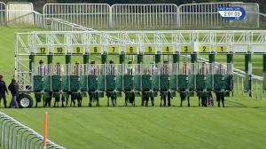 Video preview image for Haydock Park 14:00 - Racing Welfare Nursery Handicap (5)