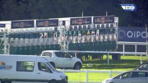 Video preview image for Ascot 14:40 - QIPCO British Champions Fillies & Mares Stakes (Group 1) (1)