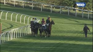 Video preview image for Market Rasen 16:35 - 'Design and Install' Elixir Bathrooms Novices' Handicap Hurdle (4)