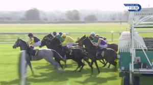 Video preview image for Newmarket 13:30 - Shepherd Compello & Epg Fillies' Novice Median Auction Stakes (5) (Div 1)