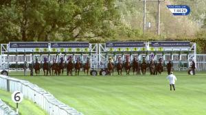 Video preview image for Newbury 13:40 - Join Hot To Trot For 2019 Novice Stakes (4) (Div 1)
