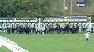 Video preview image for Newbury 14:15 - Join Hot To Trot For 2019 Novice Stakes (4) (Div 2)