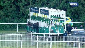 Video preview image for Newbury 15:25 - British European Breeders' Fund Conditions Stakes (2)
