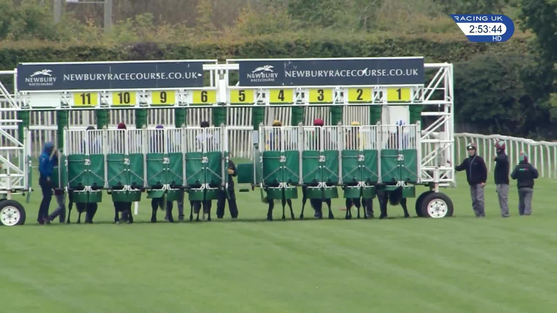 Racing TV presenters and pundits pick their horses to follow for the