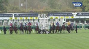 Video preview image for Newbury 15:55 - Byerley Stud Stakes (Radley) (Listed) (1)