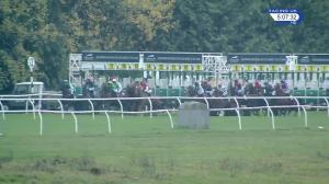 Video preview image for Newbury 17:05 - Worthington's Lady Jockeys' Handicap (Lady Amateur Riders) (5)