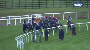 Video preview image for Cheltenham 17:30 - Jockey Club Ownership Syndicate Standard Open National Hunt Flat (2)