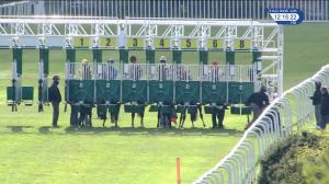 Video preview image for Leicester 12:15 - British Stallion Studs EBF Novice Stakes (4)