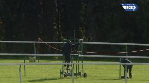 Video preview image for Ayr 12:55 - Western House Mares' Maiden Hurdle (5)