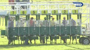 Video preview image for Redcar 14:15 - Market Cross Jewellers Handicap (3)