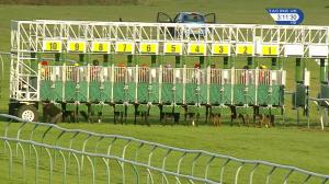 Video preview image for Nottingham 15:10 - Bet At racinguk.com Handicap (4)