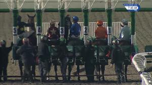 Video preview image for Kempton Park 19:45 - 32Red Handicap (2)