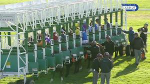 Video preview image for Newmarket 12:30 - Racegoers Club 50th Anniversary EBF Novice Stakes (4)