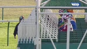 Video preview image for Newmarket 14:15 - Christmas At The Heath Court Handicap (3)