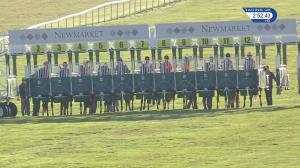 Video preview image for Newmarket 14:50 - Heath Court Hotel Christmas Carvery Handicap (3)