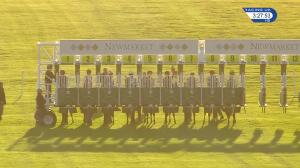 Video preview image for Newmarket 15:25 - Wsg Sports Signage Supports #superjosh Charity Handicap (4)