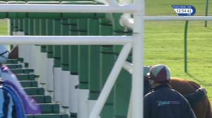 Video preview image for Newmarket 12:50 - Prestige Classics EBF Fillies' Novice Stakes (4) (Div 2)