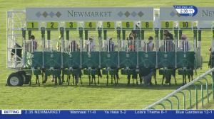 Video preview image for Newmarket 14:35 - British Stallion Studs EBF Montrose Fillies' Stakes (Listed) (1)