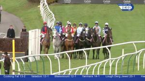Video preview image for Carlisle 14:40 - Cumberland Handicap Chase (3)