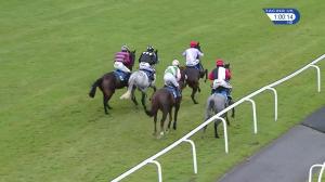 Video preview image for Exeter 13:00 - Bwin Novices' Hurdle (3)