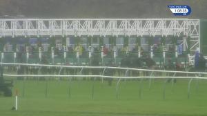 Video preview image for Nottingham 13:05 - B&M Installations Maiden Stakes (5) (Div 2)