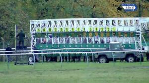 Video preview image for Nottingham 15:50 - Aja Lady Riders' Handicap (Lady Amateur Riders) (5)