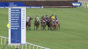 Video preview image for Newbury 14:25 - Csp Mares' Novices' Hurdle (2)