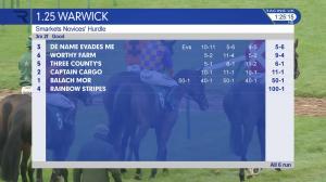 Video preview image for Warwick 13:25 - Smarkets Novices' Hurdle (4)