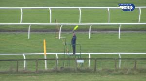 Video preview image for Carlisle 15:40 - smarkets.com Standard Open National Hunt Flat (5)