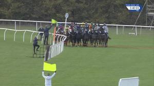 Video preview image for Huntingdon 15:40 - Gt Family "Junior" Standard Open National Hunt Flat (5)