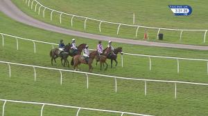 Video preview image for Bangor-On-Dee 15:30 - Scottish Power Energy Retail Novices' Hurdle (4)