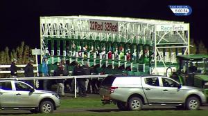 Video preview image for Kempton Park 18:00 - 32Red/british Stallion Studs EBF Fillies' Novice Stakes (5)