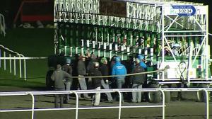 Video preview image for Kempton Park 17:00 - 32red.com Novice Auction Stakes (5)