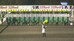 Video preview image for Kempton Park 19:00 - Watch More With Racing UK Extra Handicap (4)
