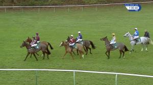 Video preview image for Warwick 13:00 - Fourpenny Plate Mares' Novices' Handicap Chase (Qualifier) (4)