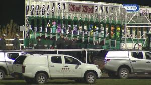 Video preview image for Kempton Park 17:10 - 32Red Casino / ebfstallions.com Novice Stakes (5) (Div 1)