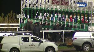 Video preview image for Kempton Park 17:40 - 32Red Casino / ebfstallions.com Novice Stakes (5) (Div 2)