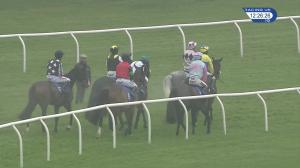 Video preview image for Market Rasen 12:25 - Lincs Loos 'National Hunt' Novices' Hurdle (4)