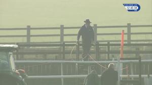 Video preview image for Catterick Bridge 12:45 - Racing UK Profits Returned To Racing Handicap Chase (5)