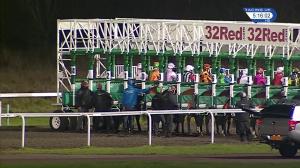 Video preview image for Kempton Park 17:15 - Isn't It Wiser To Bet At racinguk.com Novice Stakes (5)