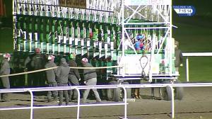 Video preview image for Kempton Park 19:15 - 32Red Casino Nursery Handicap (5)