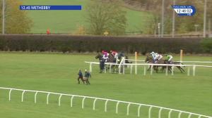 Video preview image for Wetherby 12:45 - Northern Boys Play Crown Green Bowls Handicap Chase (4)