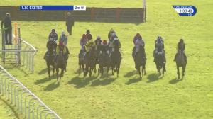 Video preview image for Exeter 13:30 - British Stallion Studs EBF 'National Hunt' Novices' Hurdle (Qualifier) (4)