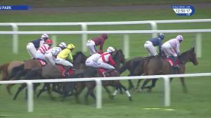 Video preview image for Sandown Park 12:50 - Elmbridge Mares' Handicap Hurdle (Qualifier) (3)