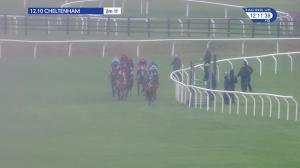 Video preview image for Cheltenham 12:10 - JCB Triumph Trial Juvenile Hurdle (Qualifier) (2)