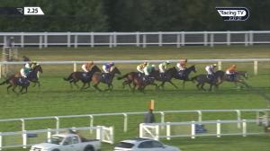 Video preview image for Ascot 14:25 - Jlt Hurdle (Long Walk) (Grade 1) (1)