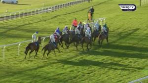 Video preview image for Kelso 11:45 - Roa/Racing Post Owners' Jackpot Maiden Hurdle (4)